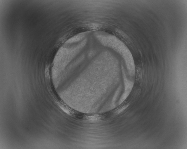 X0000082700286200702161758