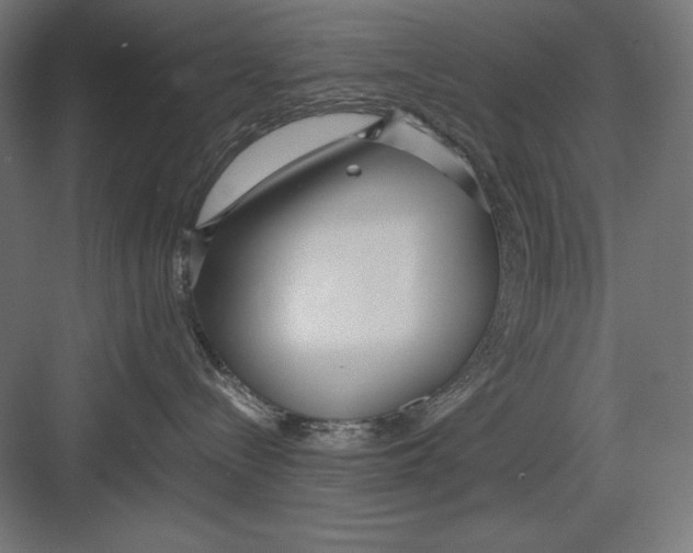 X0000082700288200702161758