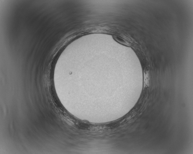 X0000082700291200702161757