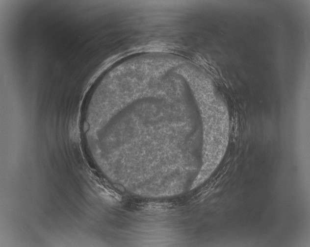 X0000082700292200702161757