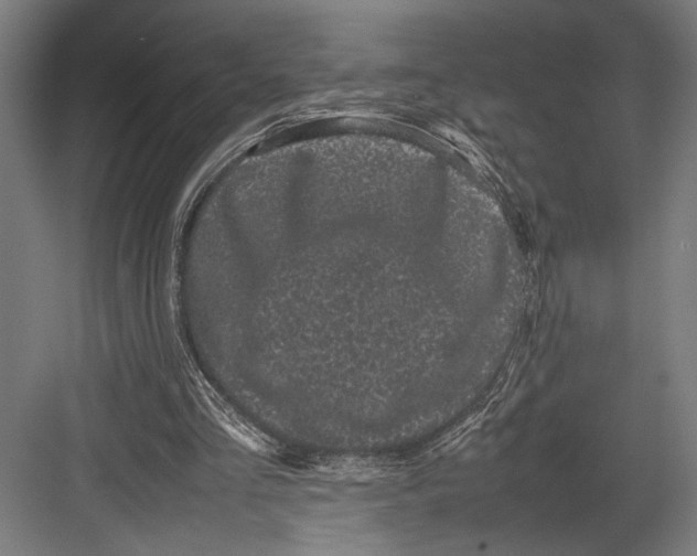 X0000082700293200702161757