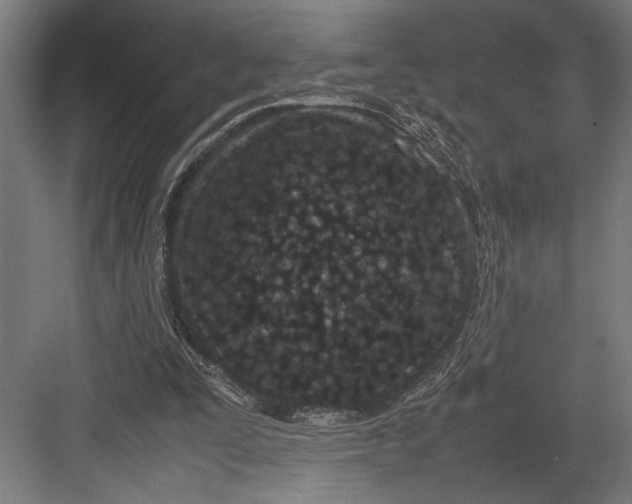 X0000082700295200702161757