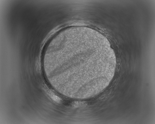 X0000082700296200702161757