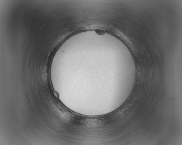 X0000082700298200702161757