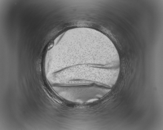 X0000082700299200702161757