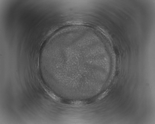 X0000082700301200702161757