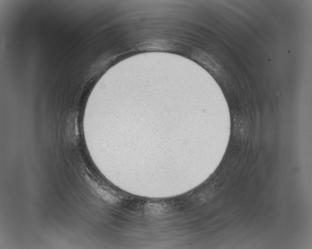 X0000082700302200702161757