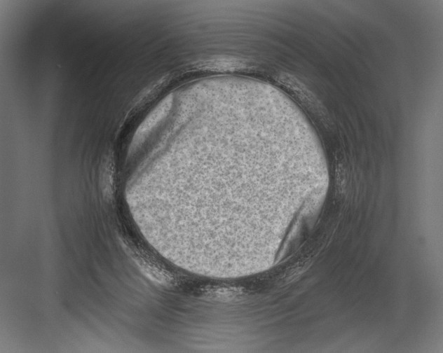 X0000082700304200702161757