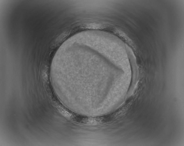 X0000082700305200702161757