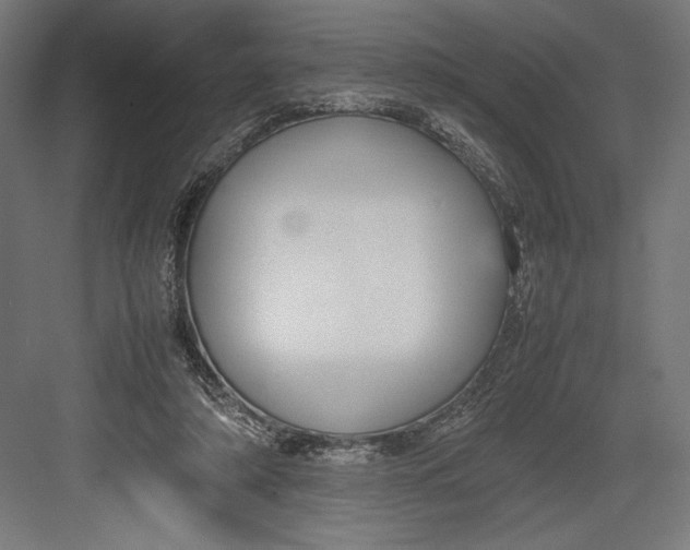 X0000082700306200702161757