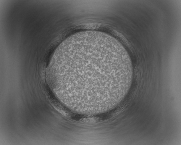 X0000082700307200702161757