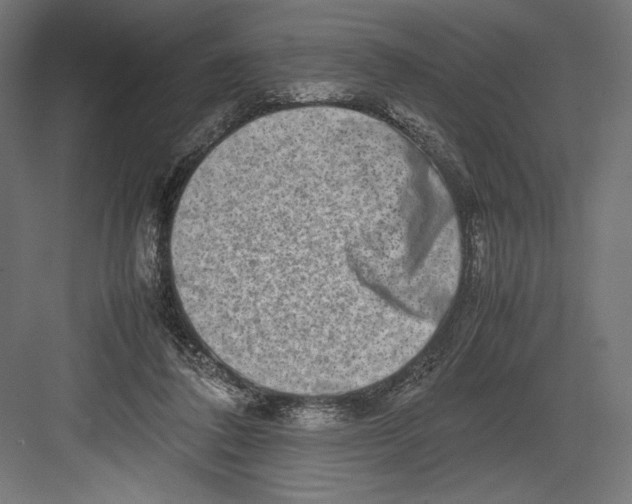 X0000082700308200702161757