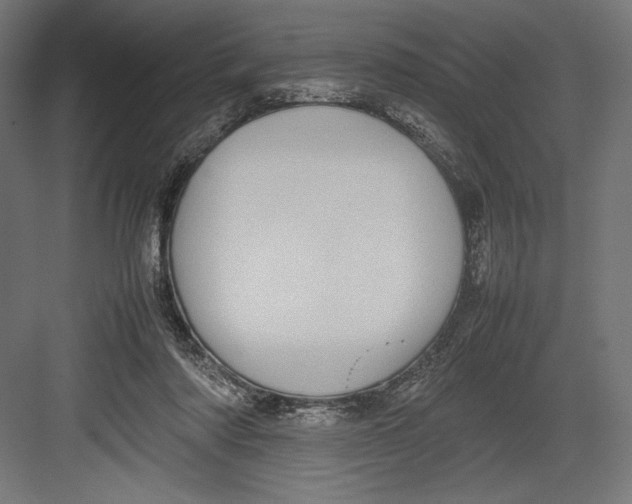 X0000082700310200702161756