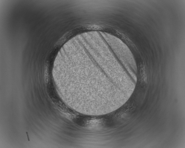 X0000082700312200702161756