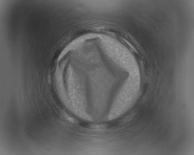 X0000082700313200702161756