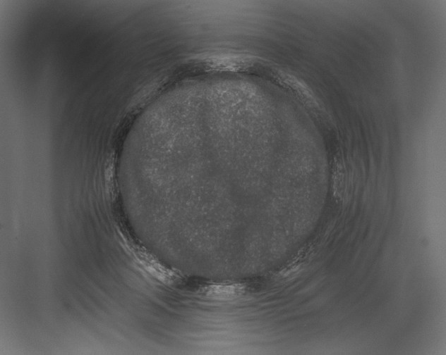 X0000082700314200702161756