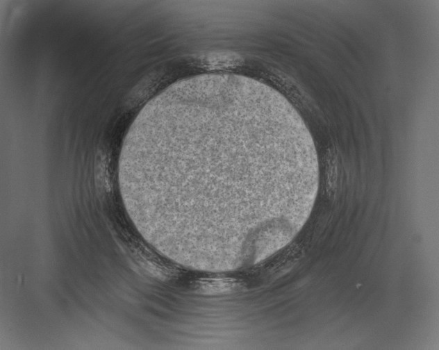 X0000082700316200702161756