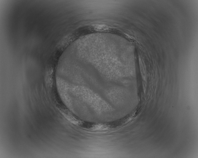 X0000082700319200702161756