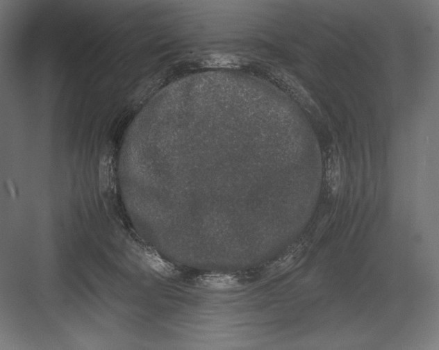 X0000082700322200702161756