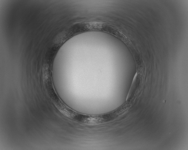 X0000082700323200702161756