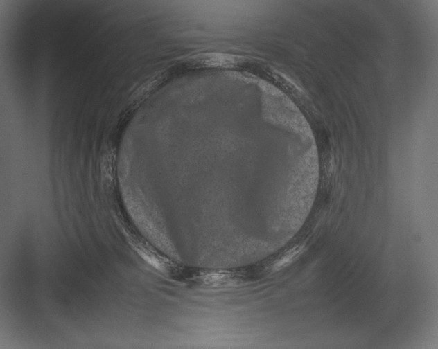 X0000082700325200702161756