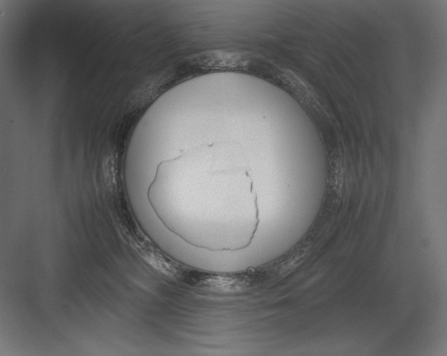 X0000082700326200702161756