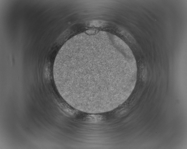 X0000082700328200702161756