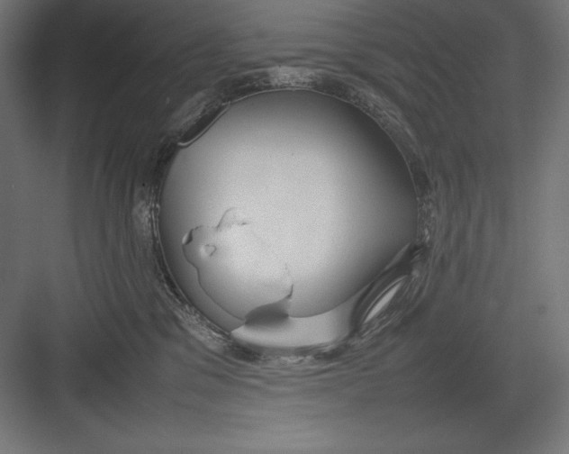 X0000082700329200702161756