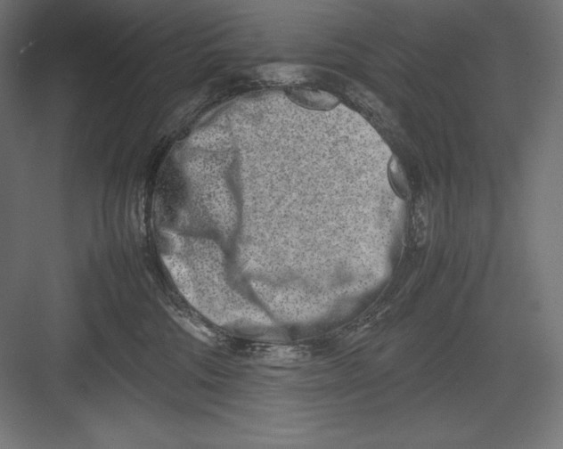 X0000082700330200702161756