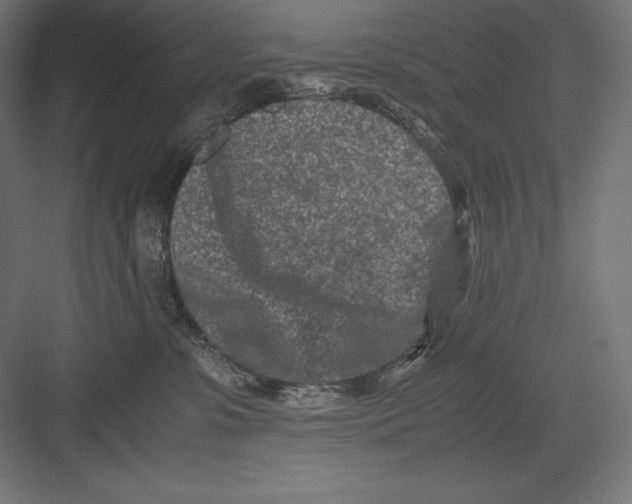 X0000082700331200702161756