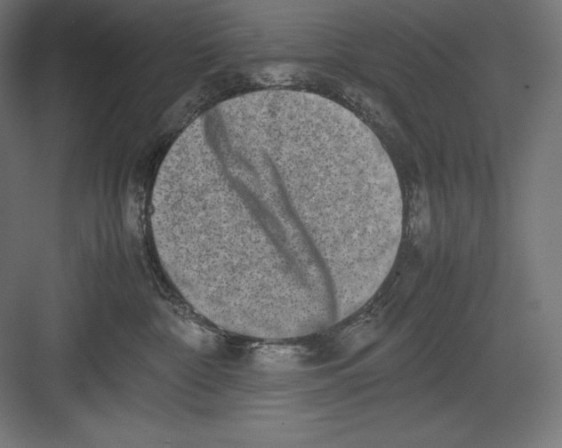 X0000082700332200702161756