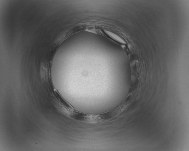 X0000082700333200702161756