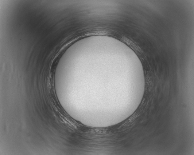 X0000082700338200702161755