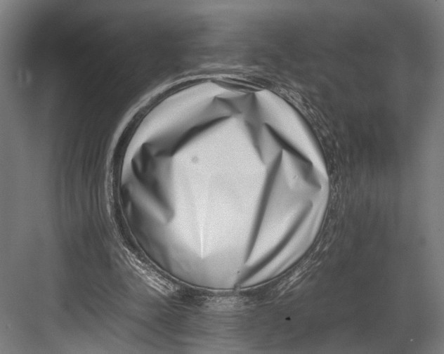 X0000082700342200702161755