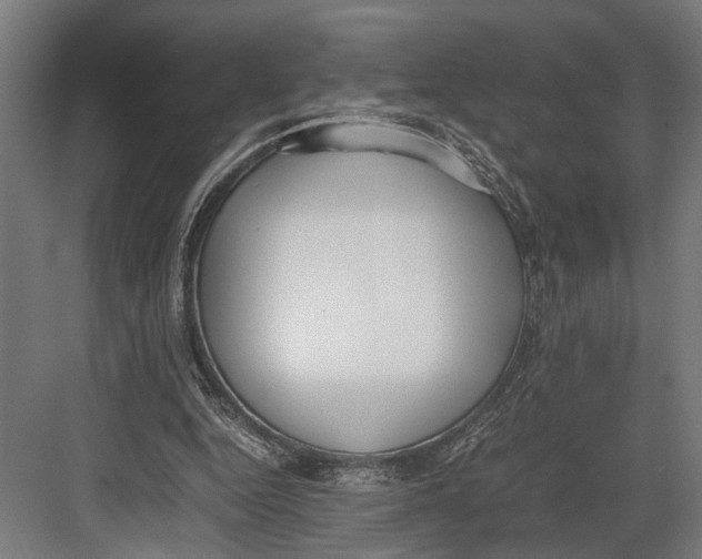 X0000082700344200702161755