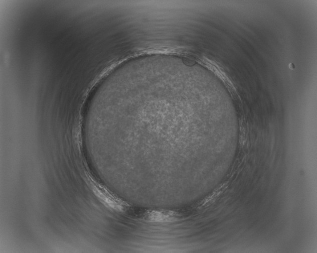 X0000082700346200702161755