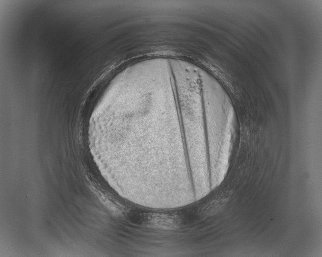 X0000082700347200702161755