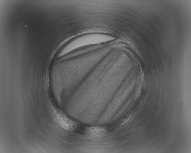 X0000082700348200702161755