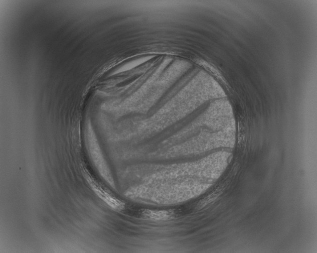 X0000082700349200702161755