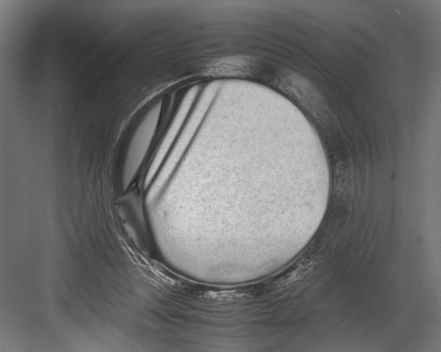 X0000082700351200702161755