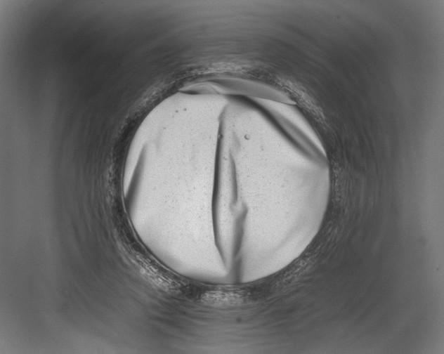 X0000082700354200702161756