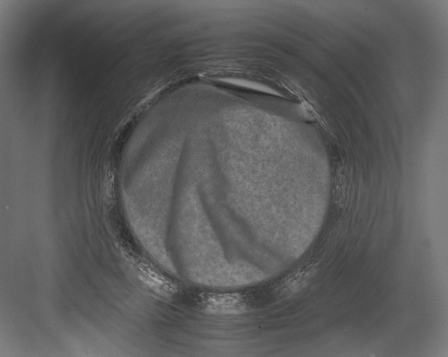 X0000082700355200702161756