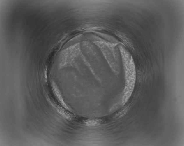 X0000082700358200702161756