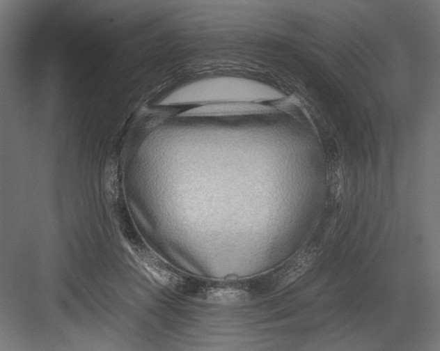 X0000082700360200702161756