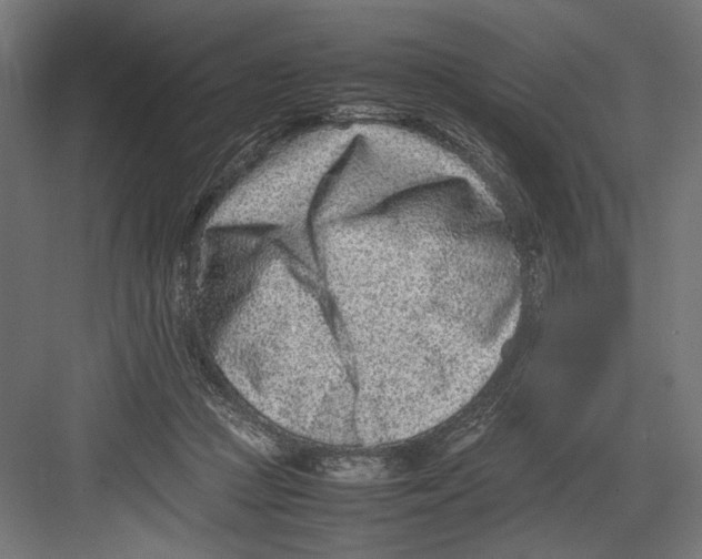 X0000082700361200702161756