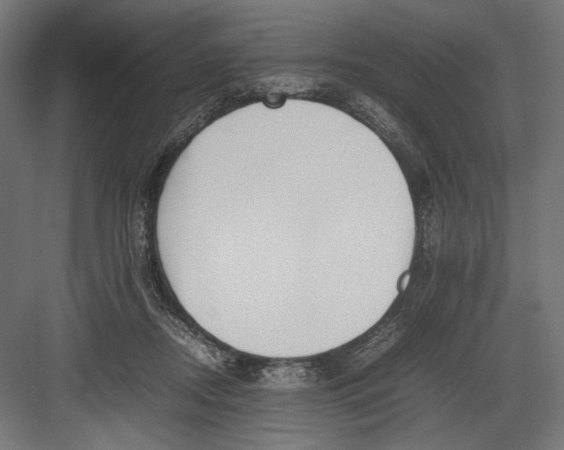 X0000082700362200702161756