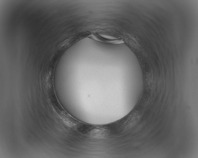 X0000082700364200702161756