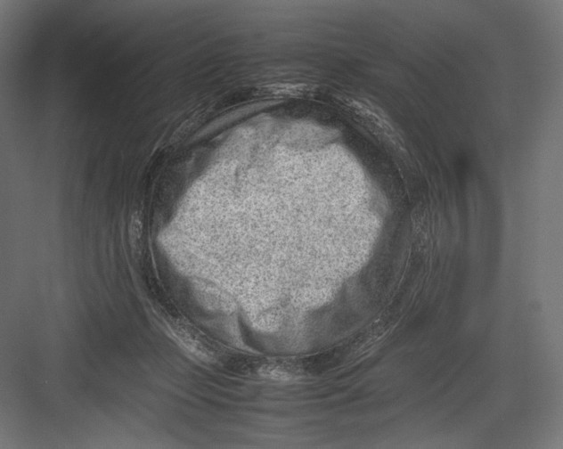 X0000082700365200702161756