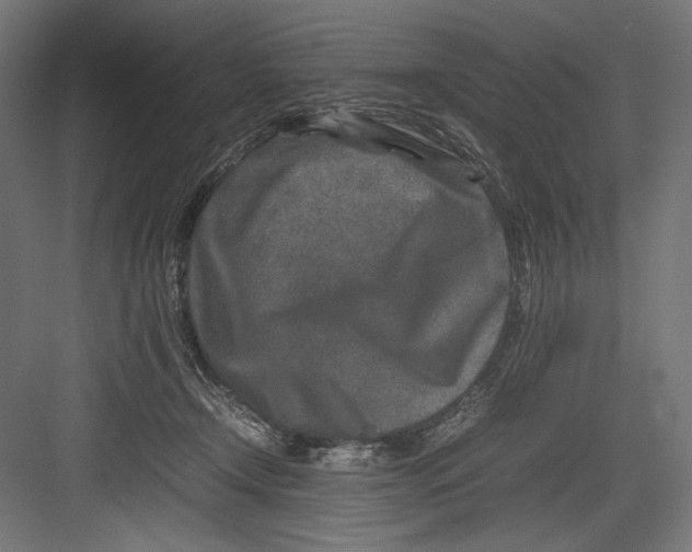 X0000082700366200702161756