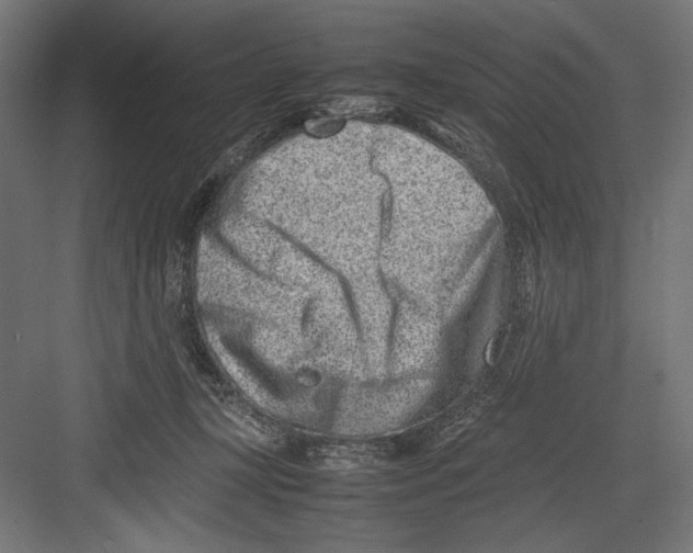 X0000082700367200702161756